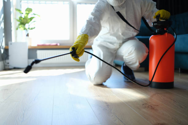 Reliable Infectious Disease Decontamination contractor in Twain Harte, CA by Crime Scene Cleaner Online